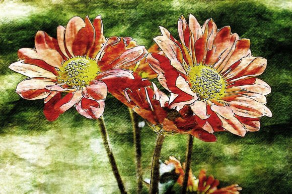 Download Printable Flower Graphics Pack# 01 - Premium Resources