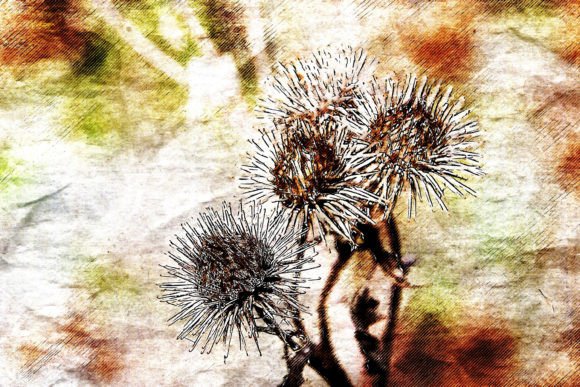 Download Printable Flower Graphics Pack# 03 - Premium Resources